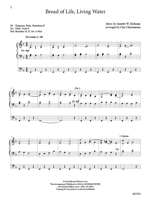 Let Us Worship Anew - Volume 2 - Organ