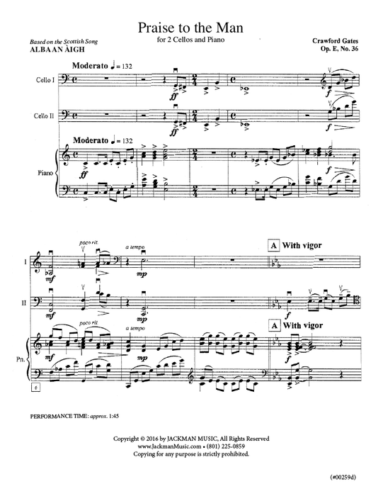 Praise to the Man - 2 Cellos