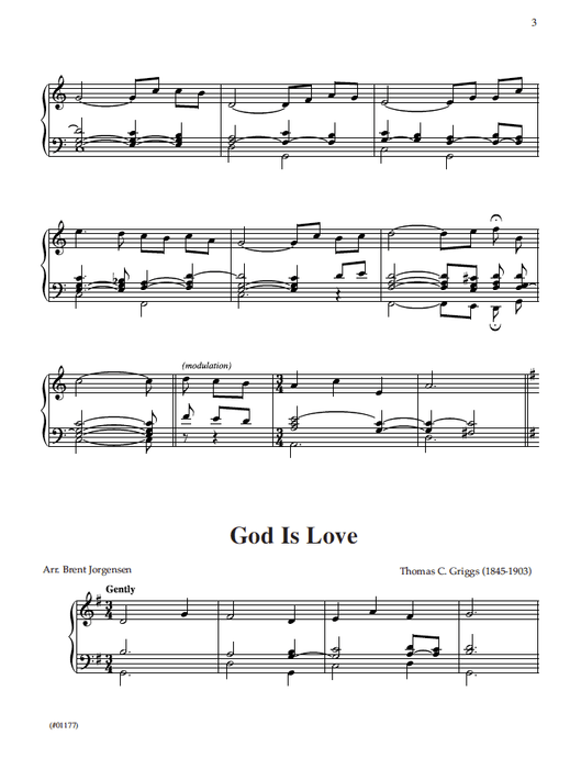 Organ Chains - Book 5