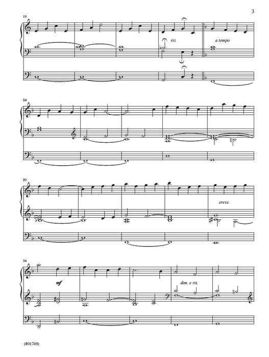 The New Organist Vol. 6