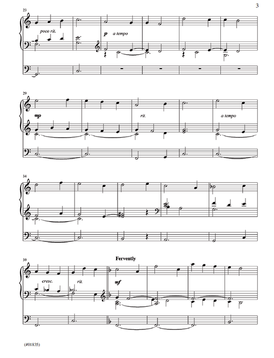 The New Organist Vol. 7